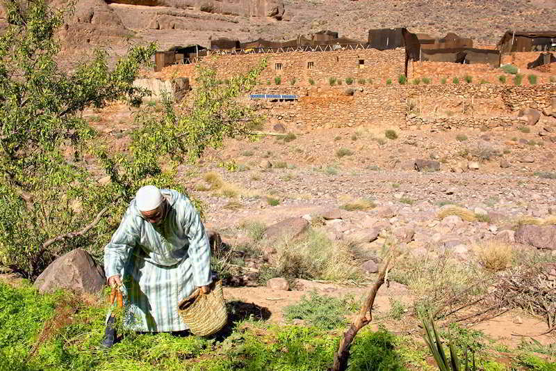 Ecolodge Ouednoujoum Ouarzazate Luaran gambar
